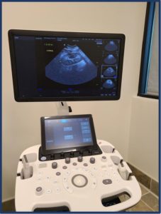 Pet ultrasound